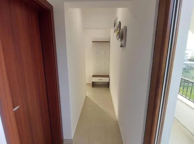 Amfora * Barbat na Rabu